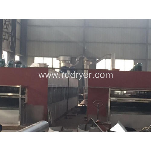 DW Belt Conveyor Mesh Dryer machinery For Food